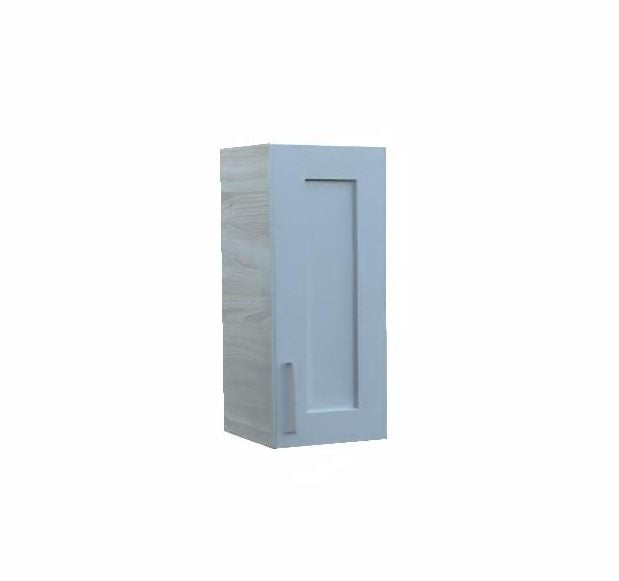 Aldana 720mm x 300mm Wall Unit