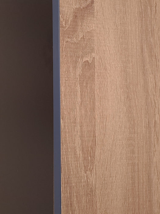 Blum Integrated Bin Unit Cambrian Oak